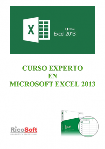 Book Cover: Curso Experto en Excel 2013